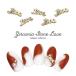 [ кошка pohs бесплатная доставка ] Nailparts циркон производства циркон Stone Rav детали 2 штук собственный ногти гель ногти 