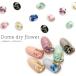 [ кошка pohs бесплатная доставка ] Nailparts купол сухой цветок примерно 8×6mm 5 штук все 6 цвет собственный ногти гель ногти 