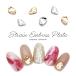 [ кошка pohs бесплатная доставка ] Nailparts не ..en Boss plate 5 штук входит [ Gold / серебряный ] все 2 вид собственный ногти гель ногти 