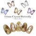 [ кошка pohs бесплатная доставка ] Nailparts рама crystal бабочка детали все 12 вид 2 штук собственный ногти гель ногти 