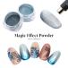 [ кошка pohs бесплатная доставка ] нейл-арт Magic эффект пудра [ штраф / course ] все 2 вид 10 микро n40 микро n собственный ногти гель ногти 