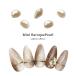 [ кошка pohs бесплатная доставка ] Nailparts Mini ba блокировка жемчуг 2 штук входит собственный ногти гель ногти ушная раковина 