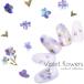 [ кошка pohs бесплатная доставка ] наклейки на ногти violet цветок наклейка [R003] собственный ногти гель ногти 