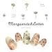 [ кошка pohs бесплатная доставка ] наклейки на ногти Margaret & письмо наклейка [HANYI-599] собственный ногти гель ногти 