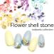 [ кошка pohs бесплатная доставка ] нейл-арт ракушка цветок ракушка Stone 6 -цветный набор каждый 1g всего 6g ввод собственный ногти гель ногти 