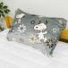 �X�k�[�s�[ �g���� ���J�o�[ 35�~50/43�~63cm �t�@�X�i�[ �t�����l�� �H�~ �L�����N�^�[(�|�X�g���� ���������j �֘A�摜1
