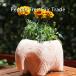 �t�F�A�g���[�h People Tree �e���R�b�^�̃A�j�}���v�����^�[ �]�E �C���e���A�G�� �K�[�f�j���O �V�R�f��