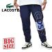 SALE большой размер мужской LACOSTE Lacoste тренировочный брюки выше like Logo темно-синий обратная сторона шерсть тренировочный XL XXL XXXL