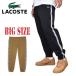 SALE большой размер мужской LACOSTE Lacoste LOGO STRIPE JOGGERS тренировочный брюки боковой Logo черный чёрный Brown чай цвет XXL XXXL XXXXL