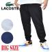  большой размер мужской LACOSTE Lacoste Tapered Leg Sweatpants one отметка конический тренировочный брюки XXL XXXL XXXXL