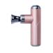 WAVEWAVE FASCIAL RELEASE GUN LITTLE розовый WAVE2301GL-PK ( срок поставки стандарт 1-2 неделя ) gun модель массажер gun массажер 