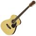 Legend FG-15 N �A�R�[�X�e�B�b�N�M�^�[/�t�H�[�N�M�^�[ (�N���b�v�`���[�i�[�E�s�b�Nx2�E�X�g���b�v�E�\�t�g�P�[�X�t��) (�[���ڈ�1-2�T��)