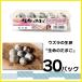 [....] еда для Toyohashi название производство .... сырой яйцо [ жизнь. Tama .]10 штук входит 30 упаковка для бизнеса перепелиные яйца сырой Tama .