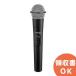 WX-ST250 Panasonic звук оборудование 1.9 G Hz диапазон беспроводной микрофон ro ho n( dynamic type )