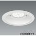 ƣ LED١饤  ȥ 200mm ۸ ʥۥ磻(4000K) Ÿ ERD7219W