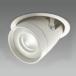 DAIKO LED�_�E�����C�g �����F ��50 12V�_�C�N���n���Q��85W�`60W���� ��������100mm �z���p11�x �d���ʔ� �_�E���X�|�b�g ���j�o�[�T���^�C�v LZD-92551AW