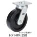 å HX34PK-200 ѡȥ󥰥㥹HX꡼ ĶŲٽ 쥿 