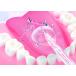 �V���b�v�W���p��(Shop Japan) �W�F�b�g�E�H�b�V���[ ���o���@ �I�[�����X�}�C�� ORSWS01 �֘A�摜1