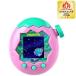 �o���_�C BANDAI Tamagotchi Paradise (���܂������p���_�C�X) Pink Land