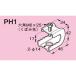 ���l�O���X�d�H �p�C���b�N ��ʌ`�|�p �y�d�C�����߂����zPH1