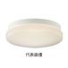 �R�C�Y�~�Ɩ� AU45014L LED�����V�[�����O���C�g (�h�J�E�h���^) FCL30W���� �d���F