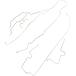Omix-ADA 16737.51 Full Brake Line Set&#44; 97-06 Jeep Wrangler TJ¹͢