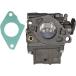 Autu Parts 16100-ZV4-D22 Carburetor for Honda BF15 Series BF15A1 BF15A2 BF15AH BF15AK BF15AM BF15AW BF15AX BF15AY C142 Outboard Boat Motor Engine