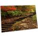 3dRose Path Through a Park in Autumn - NA01 JDA0019 - Janell. - Desk Pad Place Mats (dpd-83438-1)¹͢
