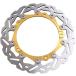 ¹͢ʡFSFY Pair Motorcycle Front Brake Disc Rotor Replacement for BMW S100