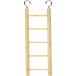 [ параллель импортные товары ] Living World Wooden Ladder 5 Steps by Living World