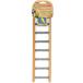 [ параллель импортные товары ] Penn Plax Small Step Wood and Cement Bird Ladder 7-Inch by Penn-Pl