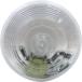 [ параллель импортные товары ] Peterson Manufacturing 415 Clear 4inch Back-Up Light