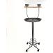 [ параллель импортные товары ] Kaytee EZ Care Pet Bird T-Stand Medium by Kaytee
