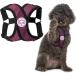 [ параллель импортные товары ] Gooby Comfort X Step In Harness - Purple Small - No Pull Small Dog