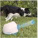 iFetch Too Inter active ball Lancia - dog for - standard tennis ball [ parallel imported goods ] parallel imported goods 