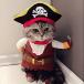 [ параллель импортные товары ] Idepet New Funny Pet Clothes Pirate Dog Cat Costume Suit Corsair Dr