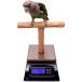 [ параллель импортные товары ] NU Perch Parrot Training Scale