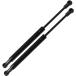 Qty (2) Fits Ferrari 456 550 1995 To 1999 Rear Area Trunk Lift Supports¹͢