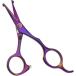 [ параллель импортные товары ] LILYS PET 5.0inch Right-Handed Round-Tip Pet Grooming Scissors Sta