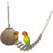 [ параллель импортные товары ] Niteangel Natural Coconut Hamster Hideaway with Ladder Bird and Sm