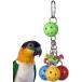 [ параллель импортные товары ] Super Bird Creations SB1093 Jingleberries Bird Toy Small/Medium Bi