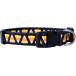 ¹͢ʡ Native Pup Halloween Dog Collar (Large  Candy Corn)