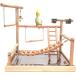 [ параллель импортные товары ] Mrli Pet Large Parrots Playstand Bird Playground Wood Perch Gym Sta
