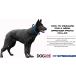 �y���s�A���i�z Herm Sprenger Black Stainless Steel Prong Dog Training Collar with �֘A�摜2