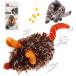 ���¹�͢���ʡ� Gigwi Interactive Cat Toy Moving Mouse  Automatic Cat Toy Mice Elec