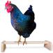 [ параллель импортные товары ] Chicken Perch Strong Wooden Roosting Bar Made in USA Solid Accessor