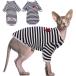 [ параллель импортные товары ] Bonaweite Sphynx Hairless Cats Shirt Cornish Rex Kitten Rainbow St