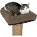 ���¹�͢���ʡ� Kitty City Sisal Post Cat Scratchers and Cushion��