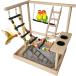 [ параллель импортные товары ] Hamiledyi Parrots Playground Bird Play Gym Wood Perch Stand Colour