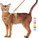[ параллель импортные товары ] Supet Cat Harness and Leash Set for Small to Large Cats Adjustable